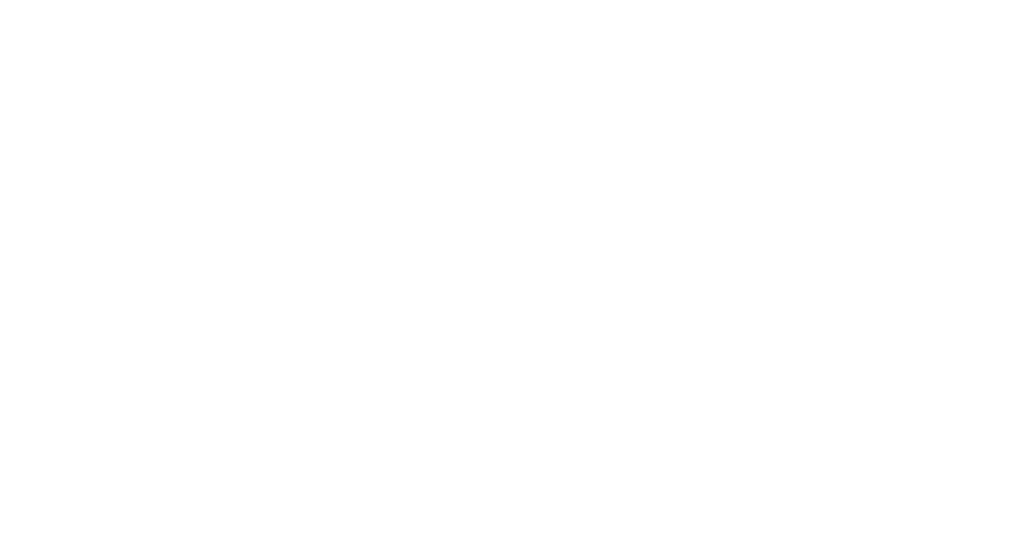 The Bridge